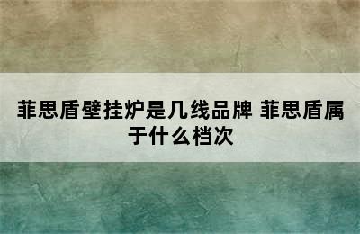 菲思盾壁挂炉是几线品牌 菲思盾属于什么档次